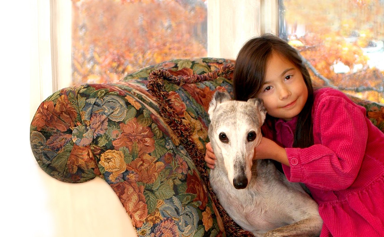 dog on couch with child